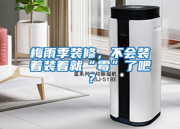 梅雨季裝修，不會裝著裝著就“霉”了吧？