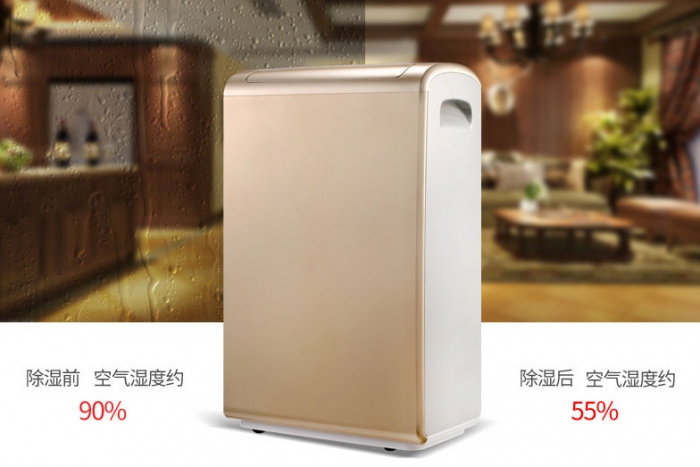 商業(yè)除濕機系列60L/D