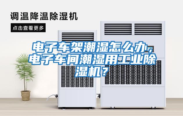 電子車架潮濕怎么辦，電子車間潮濕用工業除濕機？