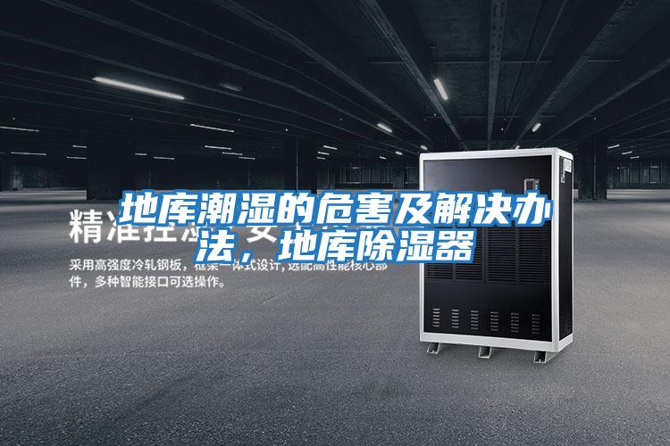 地庫潮濕的危害及解決辦法，地庫除濕器