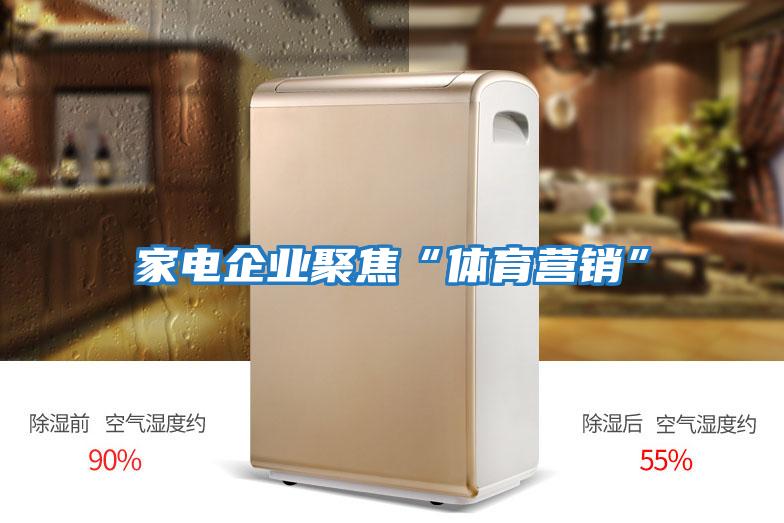 家電企業(yè)聚焦“體育營(yíng)銷”