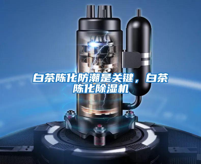 白茶陳化防潮是關(guān)鍵，白茶陳化除濕機(jī)
