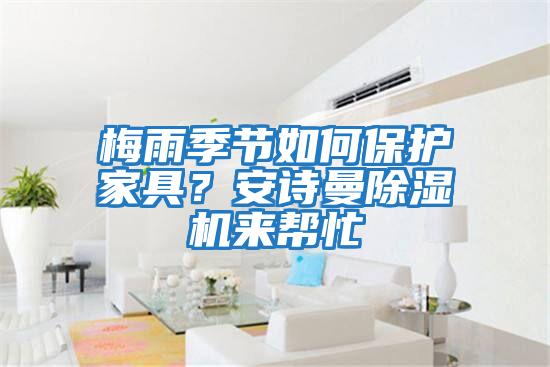 梅雨季節(jié)如何保護(hù)家具?安詩曼除濕機(jī)來幫忙