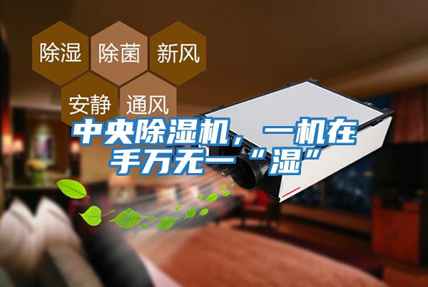 中央除濕機，一機在手萬無一“濕”