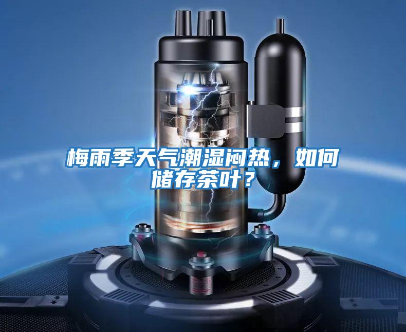 梅雨季天氣潮濕悶熱，如何儲存茶葉？
