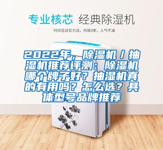 2022年,除濕機/抽濕機推薦評測:除濕機哪個牌子好?抽濕機真的有用嗎?怎么選?具體型號品牌推薦