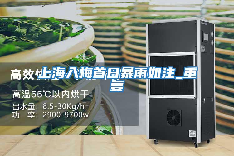 上海入梅首日暴雨如注_重復(fù)