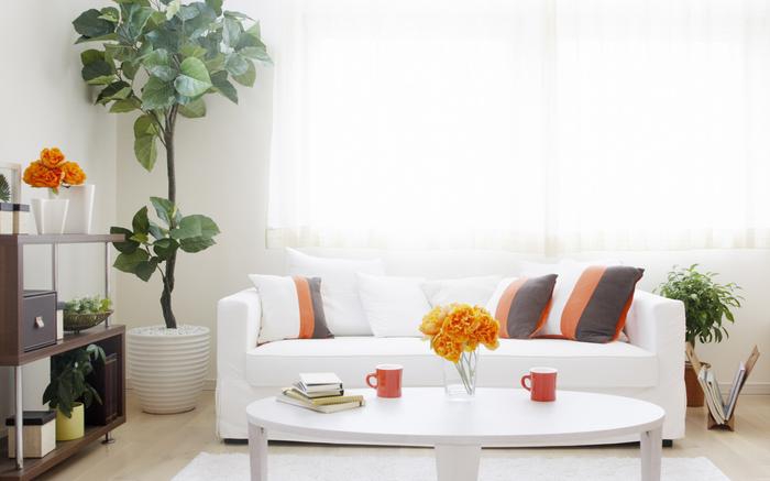 空氣凈化器或除濕機(jī)，選擇哪一種會(huì)對(duì)健康更好？