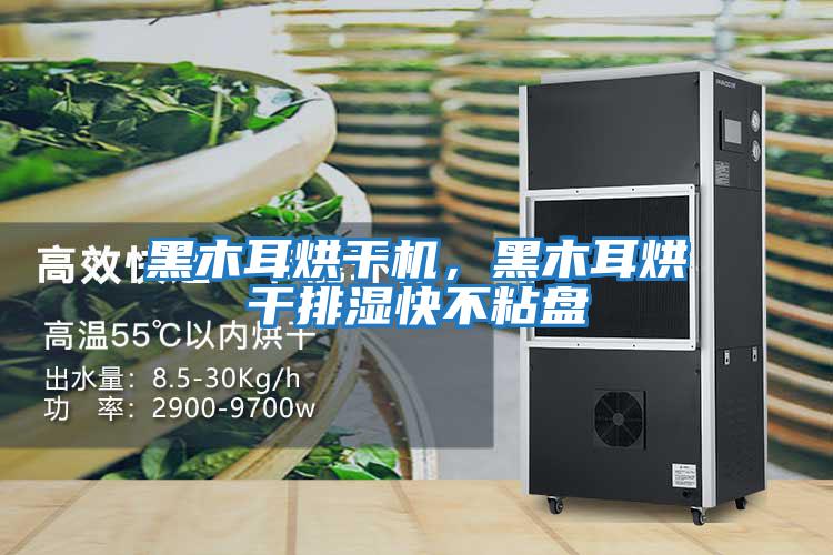 黑木耳烘干機，黑木耳烘干排濕快不粘盤