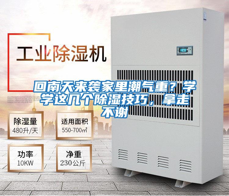 回南天來襲家里潮氣重?學學這幾個除濕技巧,拿走不謝