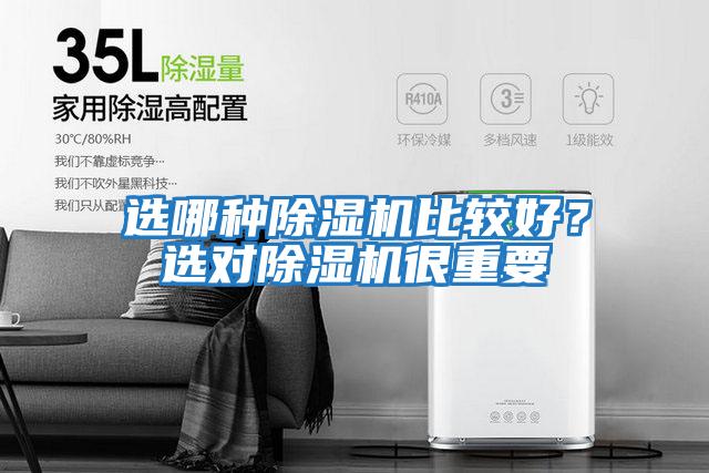 選哪種除濕機比較好？選對除濕機很重要