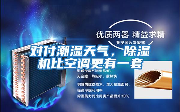 對付潮濕天氣,除濕機比空調(diào)更有一套