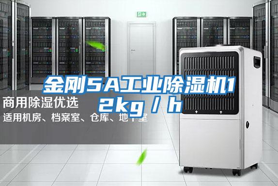 金剛5A工業(yè)除濕機(jī)12kg/h