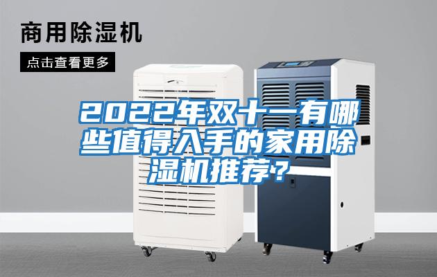 2022年雙十一有哪些值得入手的家用除濕機(jī)推薦？