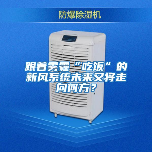 跟著霧霾“吃飯”的新風(fēng)系統(tǒng)未來又將走向何方?