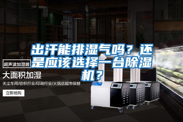 出汗能排濕氣嗎？還是應(yīng)該選擇一臺(tái)除濕機(jī)？