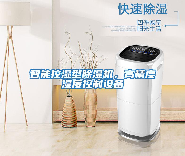 智能控濕型除濕機,高精度濕度控制設備
