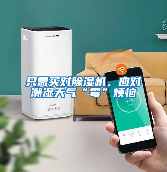 只需買對除濕機，應對潮濕天氣“霉”煩惱
