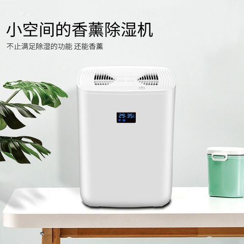 清明過后，潮氣噠噠，怎么除潮？