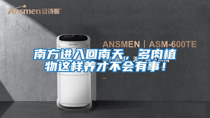 南方進入回南天,多肉植物這樣養(yǎng)才不會有事!