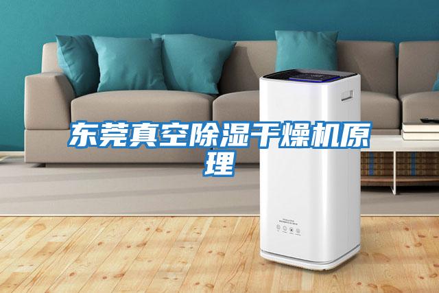 東莞真空除濕干燥機(jī)原理