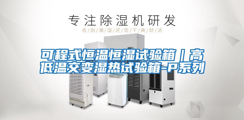 可程式恒溫恒濕試驗箱|高低溫交變濕熱試驗箱-P系列