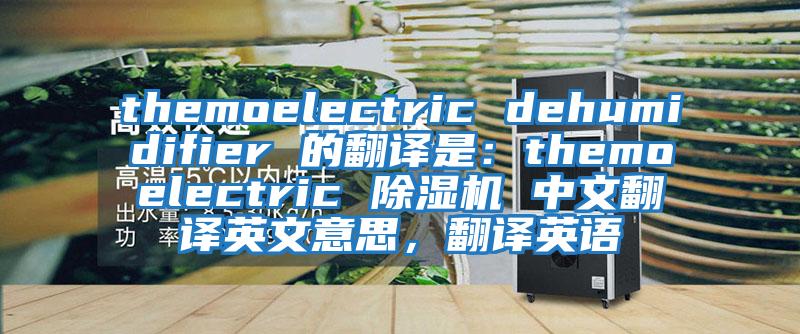 themoelectric dehumidifier 的翻譯是：themoelectric 除濕機 中文翻譯英文意思，翻譯英語