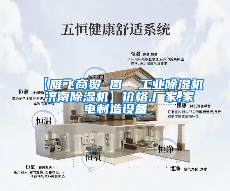 【雁飛商貿(mào) 圖 工業(yè)除濕機 濟南除濕機】價格,廠家,家電制造設(shè)備
