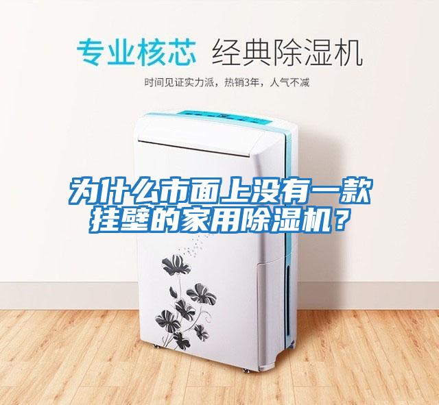 為什么市面上沒有一款掛壁的家用除濕機？