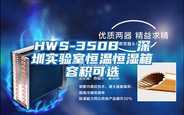 HWS-350B 深圳實驗室恒溫恒濕箱容積可選