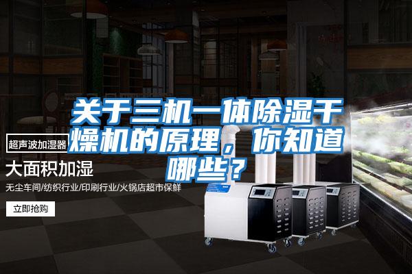關(guān)于三機(jī)一體除濕干燥機(jī)的原理，你知道哪些？