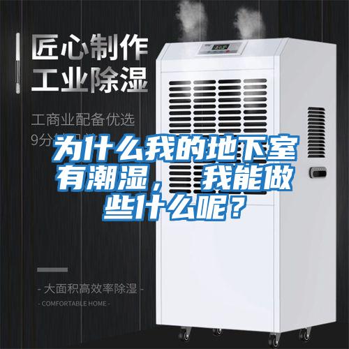 為什么我的地下室有潮濕， 我能做些什么呢？