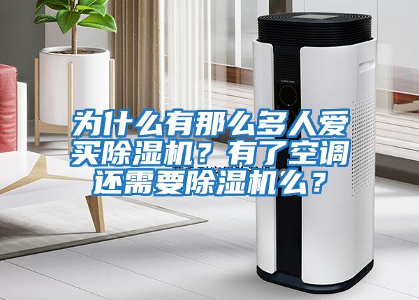 為什么有那么多人愛買除濕機？有了空調還需要除濕機么？