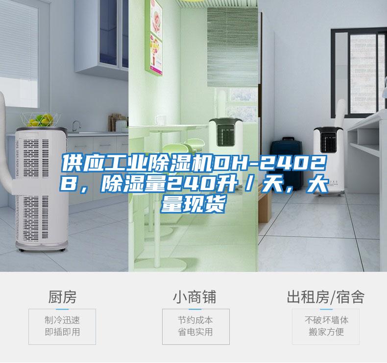 供應工業除濕機DH-2402B，除濕量240升／天，大量現貨
