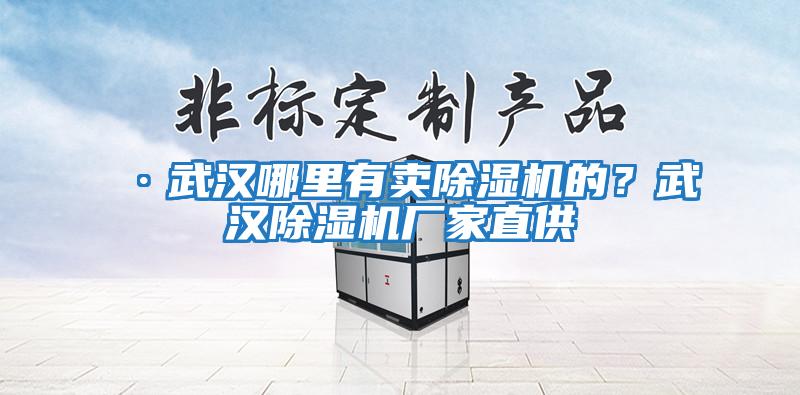 ·武漢哪里有賣除濕機的？武漢除濕機廠家直供