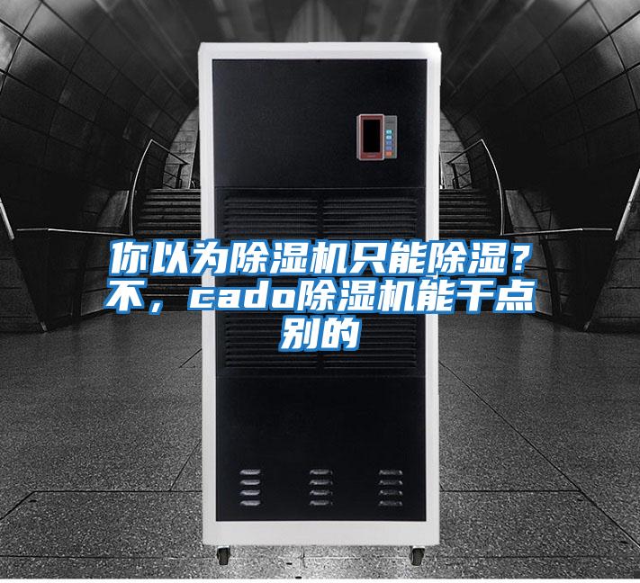 你以為除濕機(jī)只能除濕?不,cado除濕機(jī)能干點(diǎn)別的