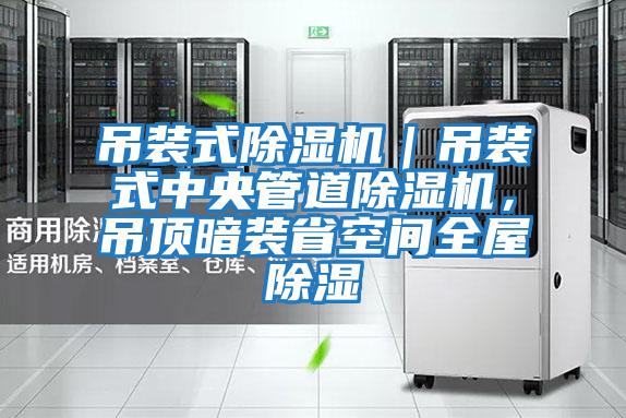 吊裝式除濕機｜吊裝式中央管道除濕機，吊頂暗裝省空間全屋除濕