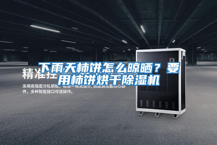 下雨天柿餅怎么晾曬？要用柿餅烘干除濕機