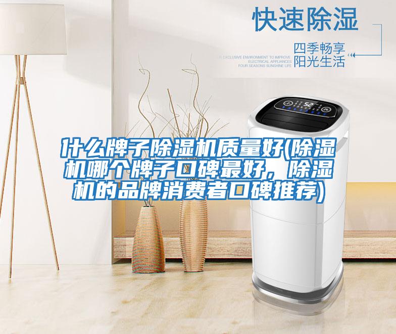什么牌子除濕機質(zhì)量好(除濕機哪個牌子口碑最好，除濕機的品牌消費者口碑推薦)