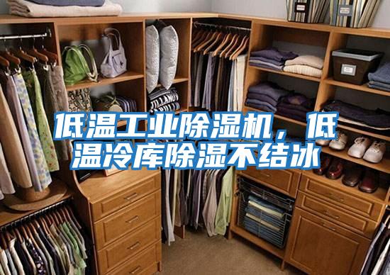 低溫工業除濕機，低溫冷庫除濕不結冰
