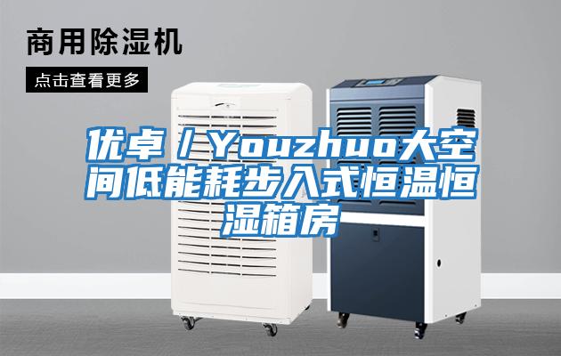 優(yōu)卓/Youzhuo大空間低能耗步入式恒溫恒濕箱房