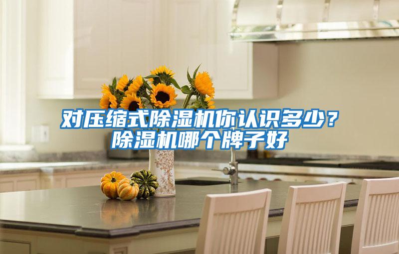 對壓縮式除濕機你認識多少?除濕機哪個牌子好