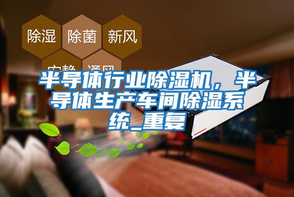 半導(dǎo)體行業(yè)除濕機(jī)，半導(dǎo)體生產(chǎn)車間除濕系統(tǒng)_重復(fù)