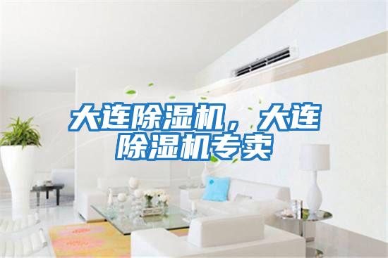 大連除濕機,大連除濕機專賣