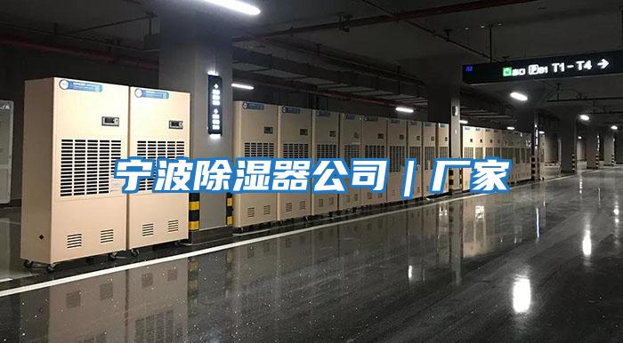 寧波除濕器公司|廠家