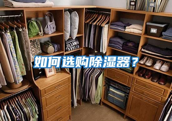 如何選購除濕器？