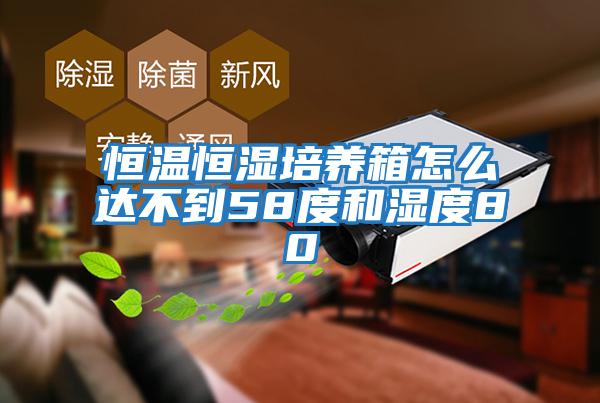 恒溫恒濕培養箱怎么達不到58度和濕度80