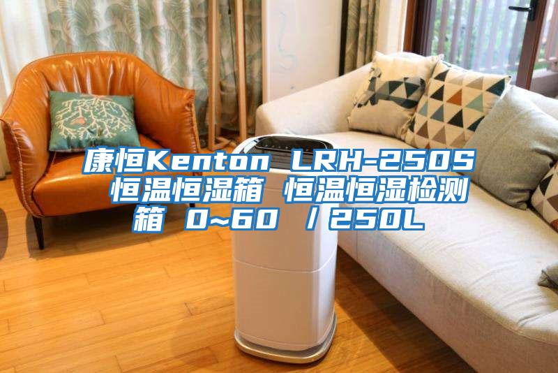 康恒Kenton LRH-250S 恒溫恒濕箱 恒溫恒濕檢測(cè)箱 0~60℃/250L