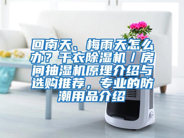 回南天、梅雨天怎么辦？干衣除濕機／房間抽濕機原理介紹與選購推薦，專業的防潮用品介紹