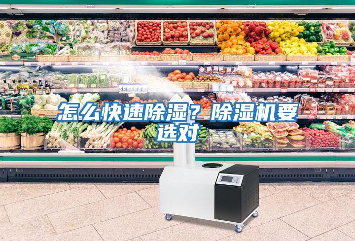怎么快速除濕？除濕機要選對